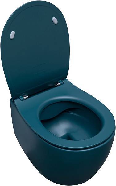 Унитаз подвесной Allen Brau Fantasy 36.3x51x40 см зеленый 4.11004.PT