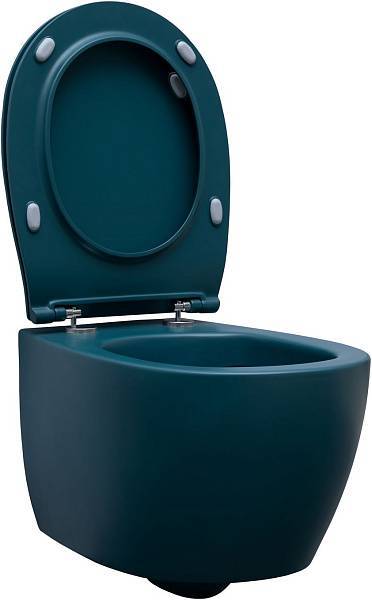 Унитаз подвесной Allen Brau Fantasy 36.3x51x40 см зеленый 4.11004.PT