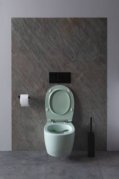 Чаша подвесного унитаза Allen Brau Fantasy зеленый 4.11004.MT