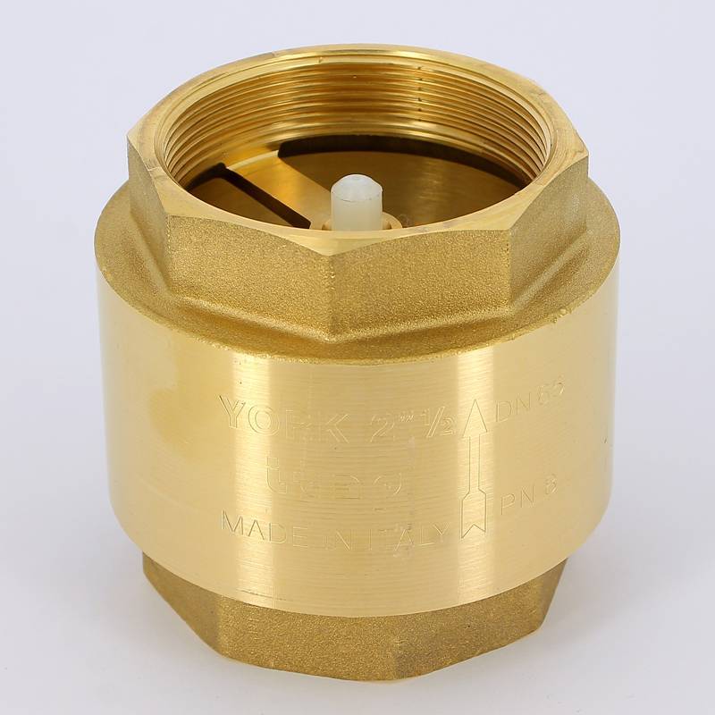 Клапан обратный пружинный ITAP York с пластиковым затвором 2 1/2 1030212