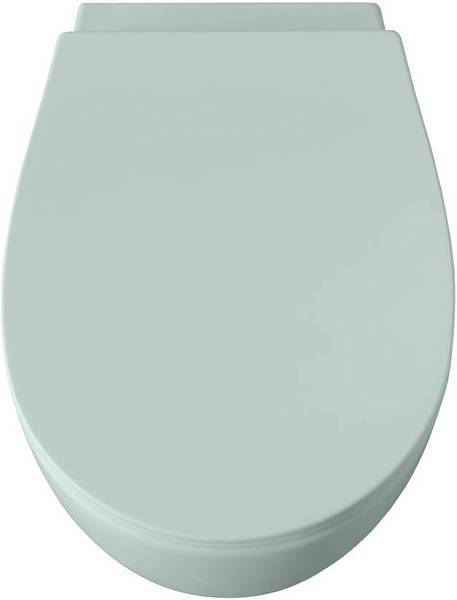 Чаша подвесного унитаза Allen Brau Fantasy зеленый 4.11004.MT