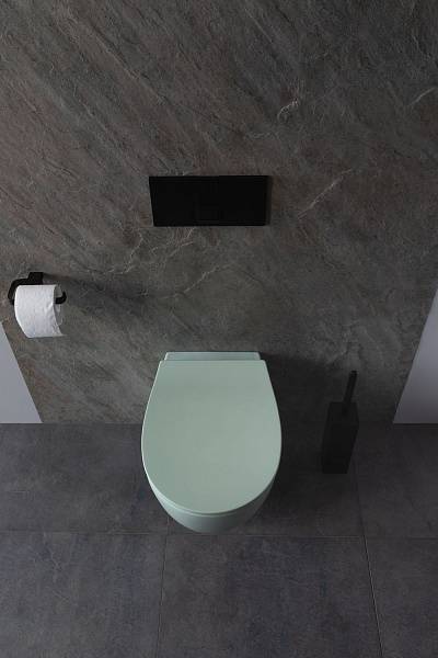 Чаша подвесного унитаза Allen Brau Fantasy зеленый 4.11004.MT