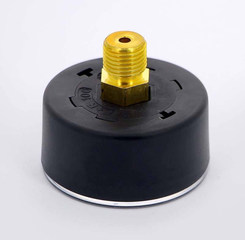 Манометр аксиальный Watts F+R100 10 бар 50 мм 1/4 10008093