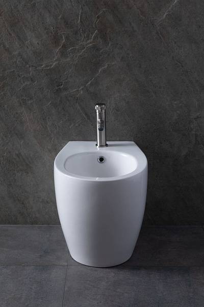 Биде напольное Allen Brau Fantasy белый 4.11008.20