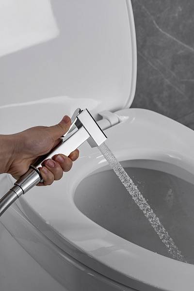 Гигиенический душ со смесителем Allen Brau Infinity с внутренней частью хром 5.21005-00