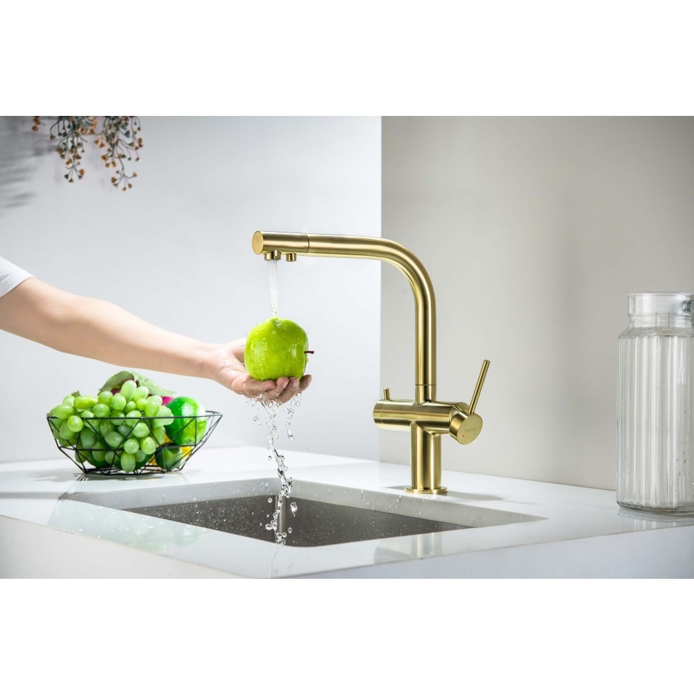 Смеситель для кухни Aquanet Европа под фильтр шлифованное золото AQ1385BG