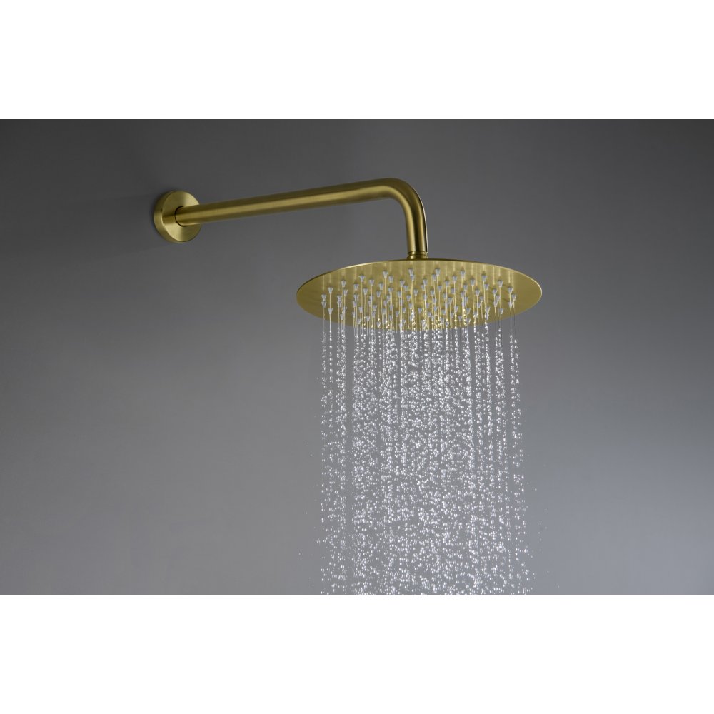 Душевой комплект 3 в 1 Aquanet Европа 2 режима шлифованное золото AQ1376BG