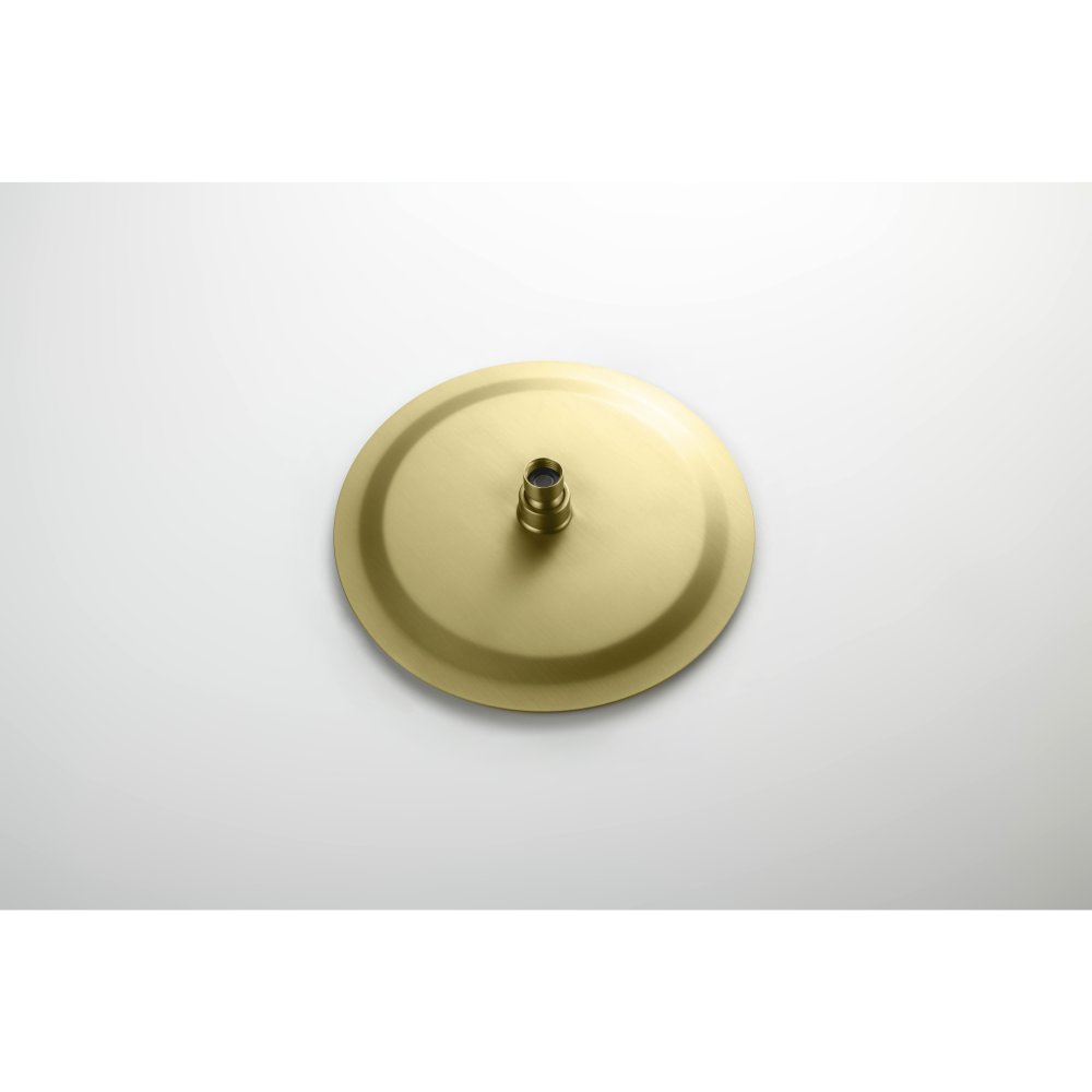 Душевой комплект 3 в 1 Aquanet Европа 2 режима шлифованное золото AQ1376BG