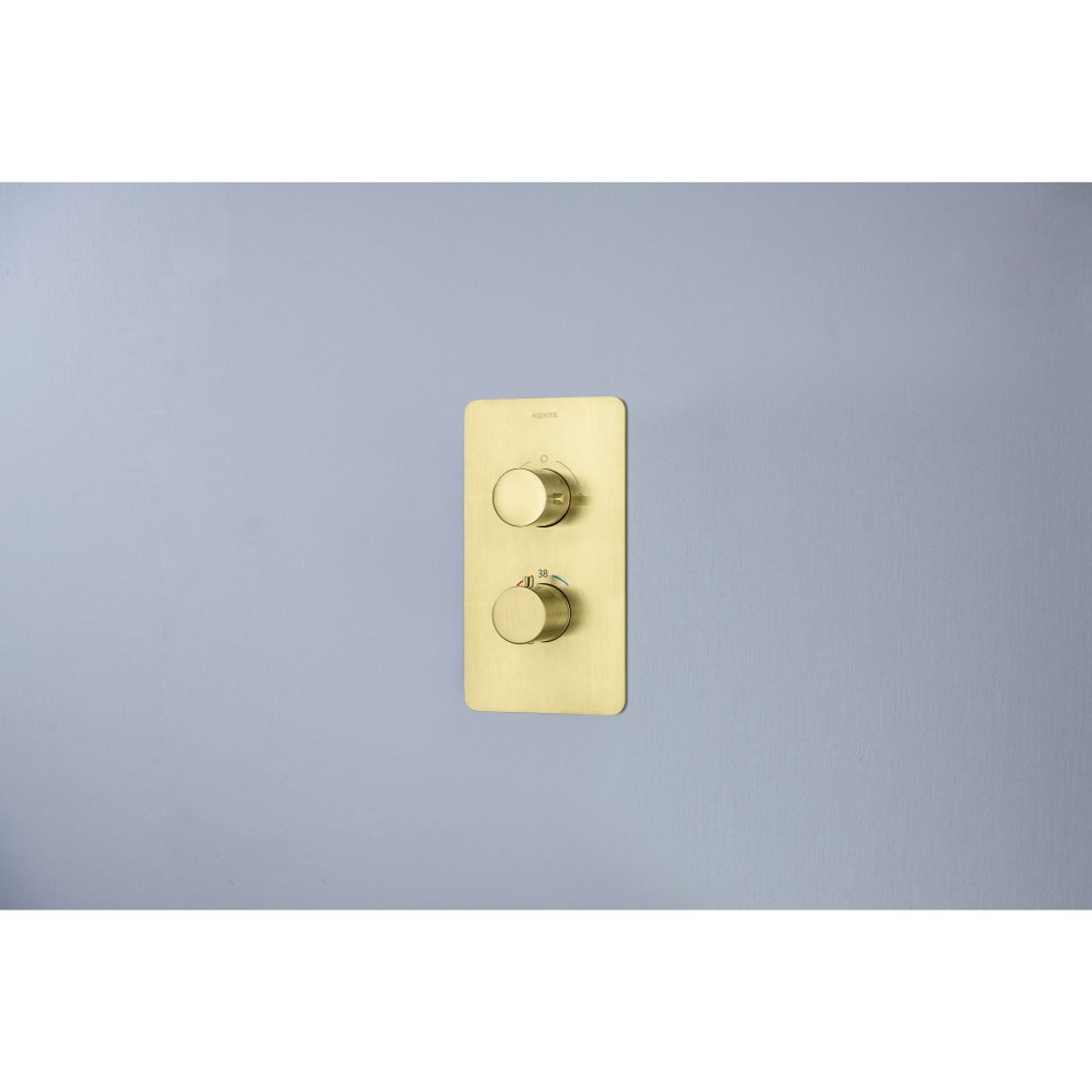 Душевой комплект 3 в 1 Aquanet Европа 2 режима шлифованное золото AQ1376BG