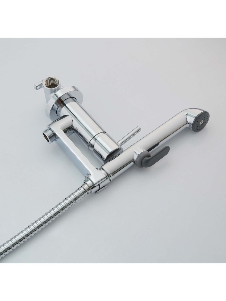 Комплект для гигиенического душа Aquanet Ника встроенный хром AQ1819CR