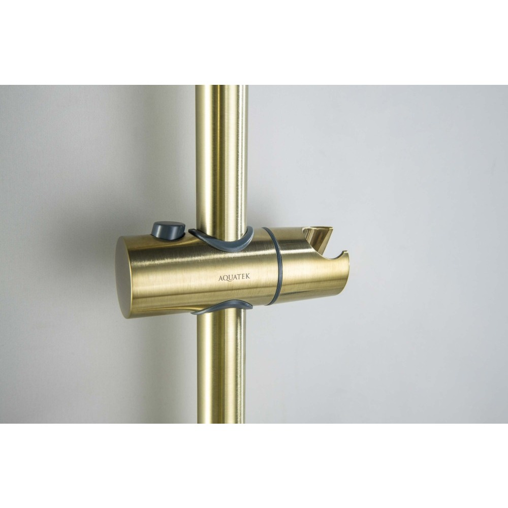 Душевой гарнитур Aquanet Оберон 3jet 65 см шлифованное золото AQ2016BG