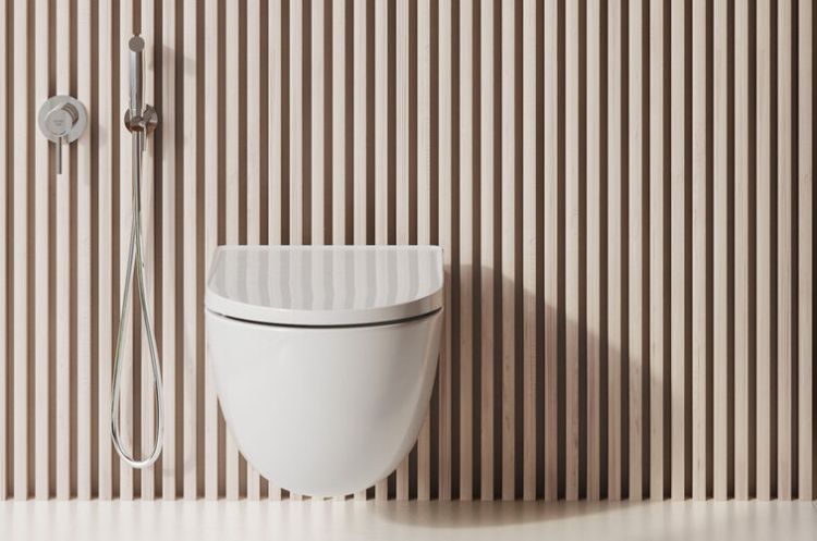 Унитаз подвесной безободковый Kludi RESA D 380х520х320 мм белый 24WCSET43