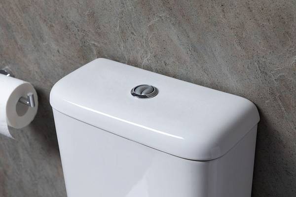 Унитаз напольный Allen Brau Infinity чаша белый 4.21001.20