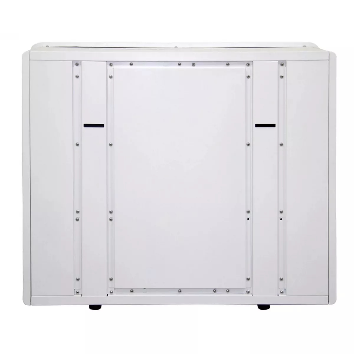 Осушитель воздуха промышленный Neoclima FDW02H настенный FDW02H