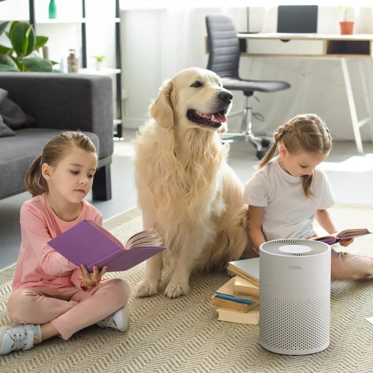 Очиститель воздуха Tion IQ 200 белый IQ 200