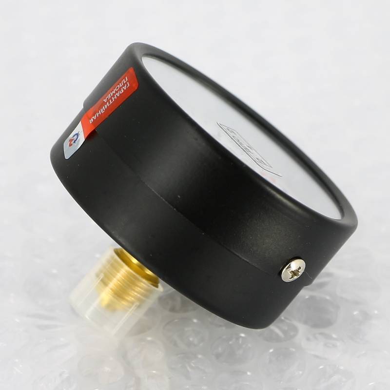 Манометр Росма ТМ-310T.00 63 мм 0-6 бар G1/4 аксиальный кл.2.5 00000008921