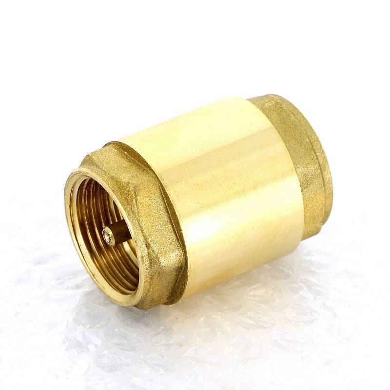 Клапан обратный пружинный Uni-Fitt серия 222 с металлическим затвором 1 222G4000