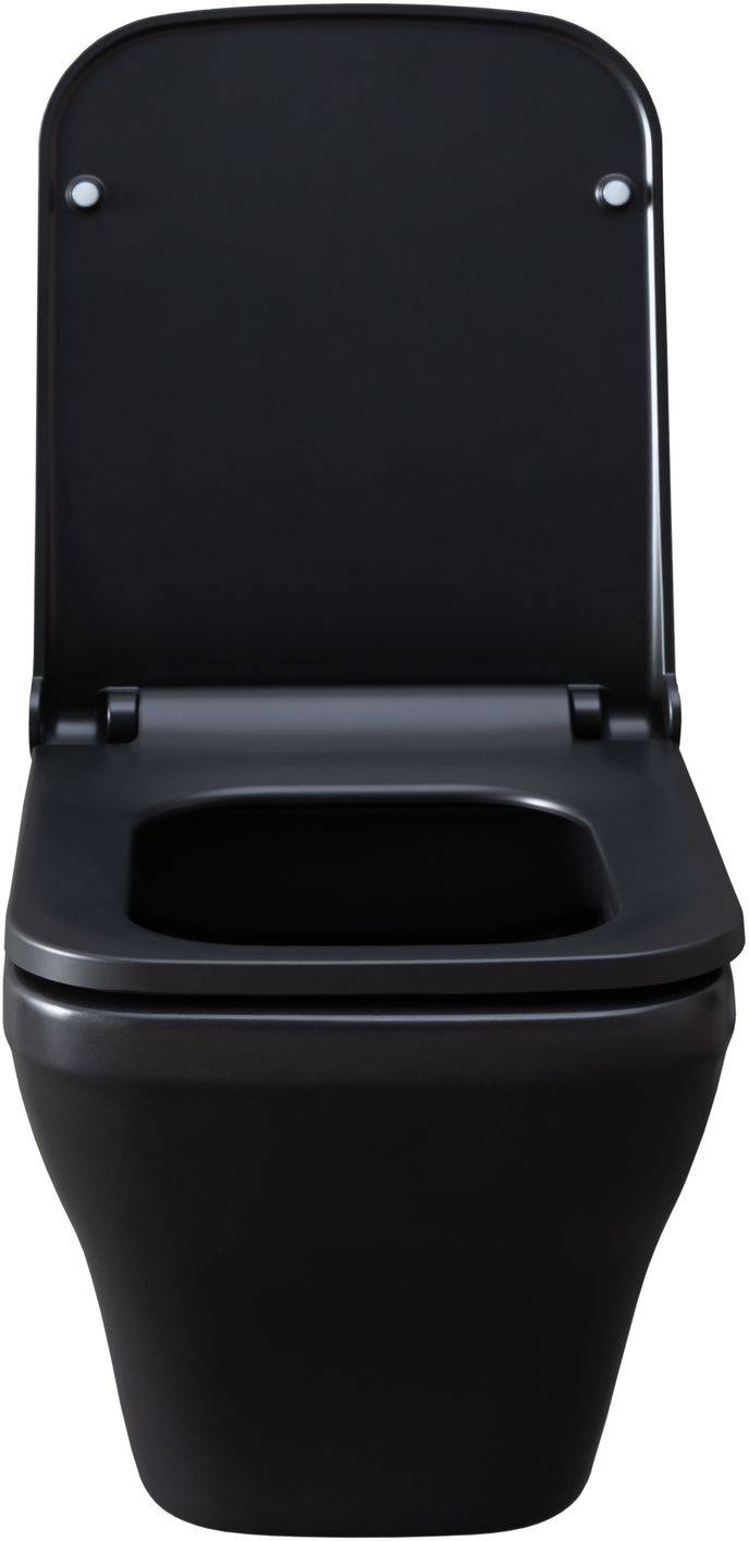 Унитаз подвесной Allen Brau Infinity чаша 34x53.5x35.5 см черный 4.21011.31