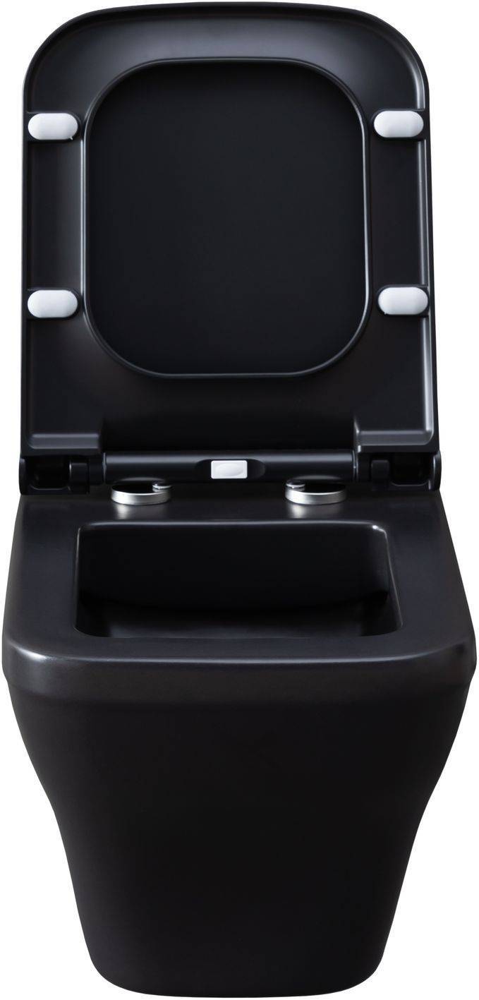 Унитаз подвесной Allen Brau Infinity чаша 34x53.5x35.5 см черный 4.21011.31