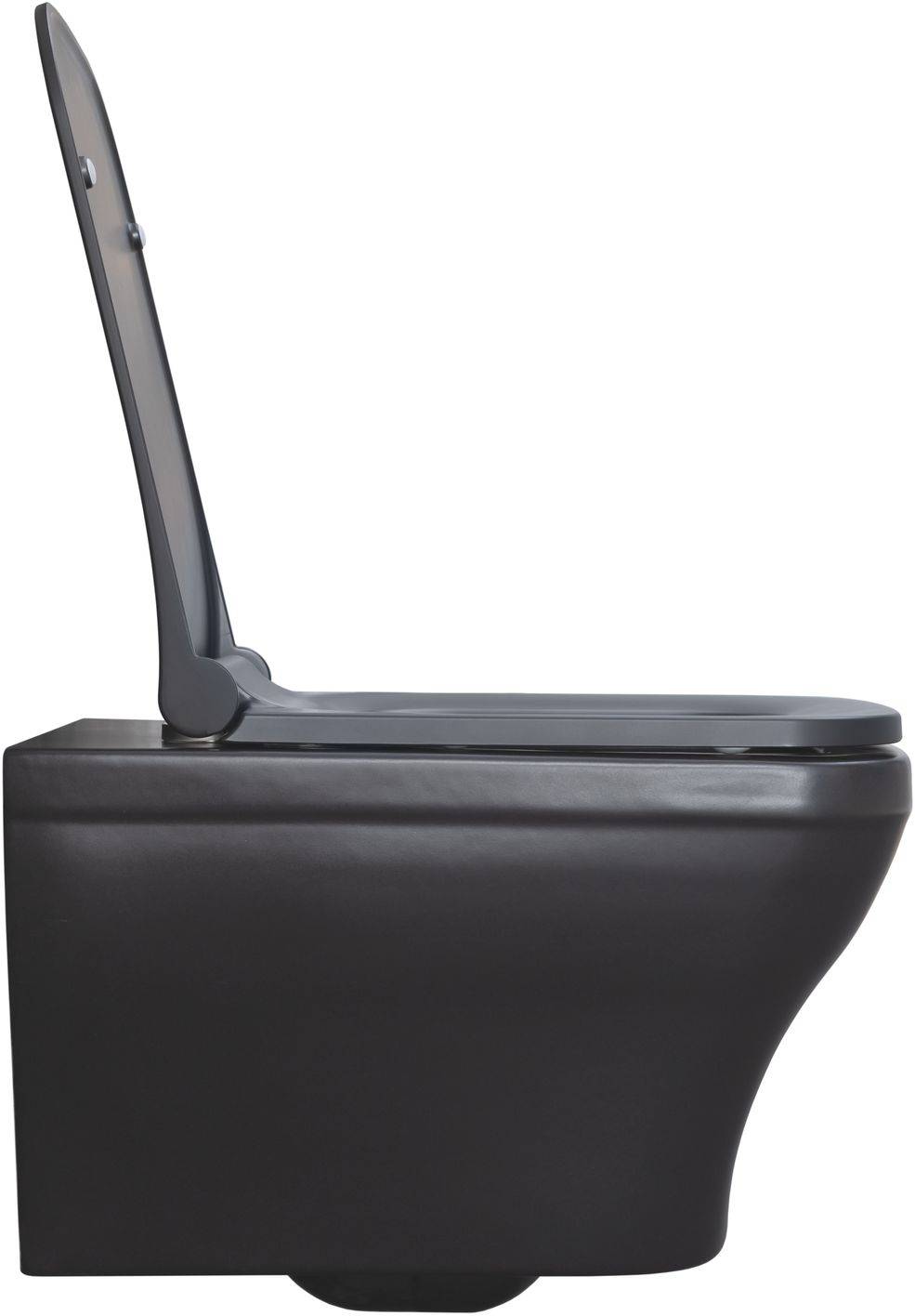 Унитаз подвесной Allen Brau Infinity чаша 34x53.5x35.5 см черный 4.21011.31