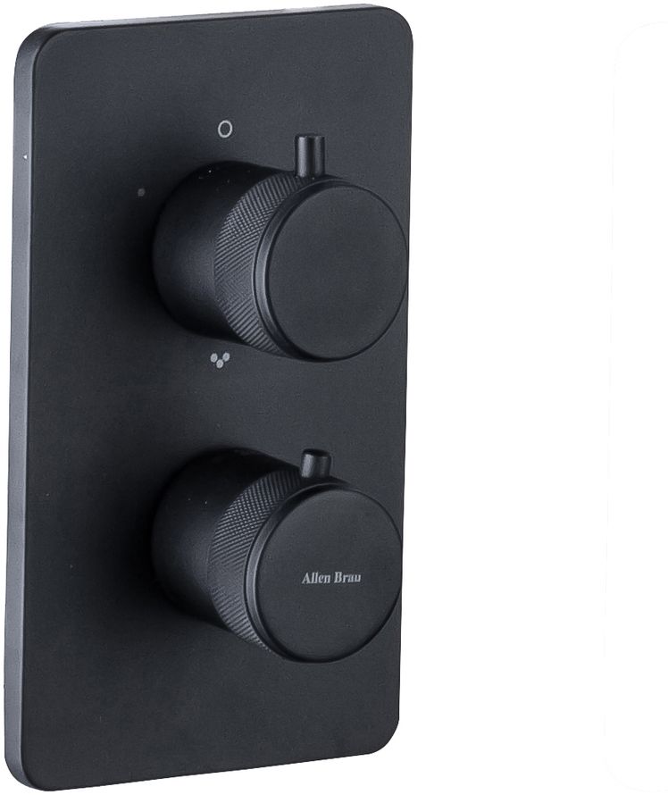 Смеситель для ванны с термостатом встраиваемый Allen Brau Priority черный матовый 5.31213-31