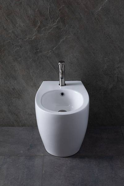 Биде напольное Allen Brau Fantasy белый 4.11008.20