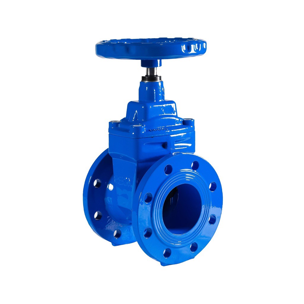 Задвижка чугунная фланцевая REON Ду80 RSV04