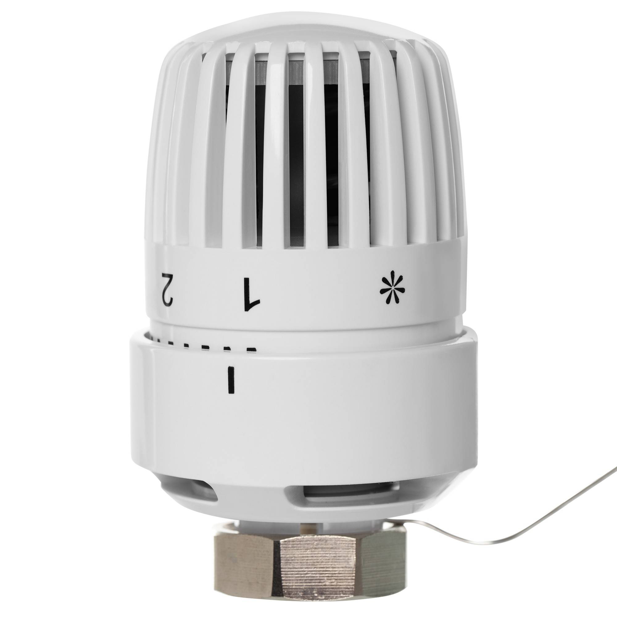 Термоголовка жидкостная Royal Thermo BASIC с выносным датчиком M30x1.5 RTE 50.032