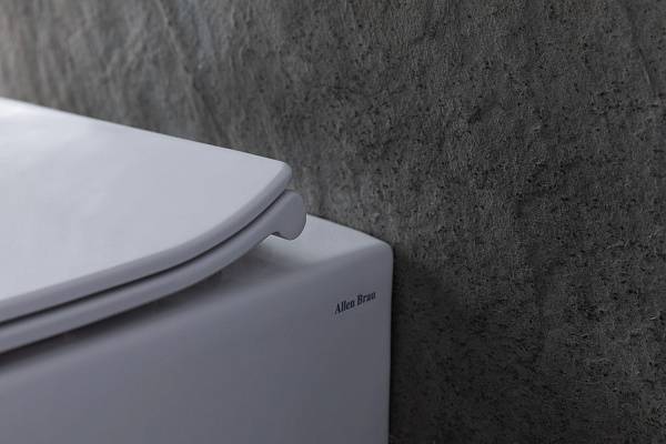 Чаша приставного унитаза Allen Brau Fantasy белый 4.11007.20