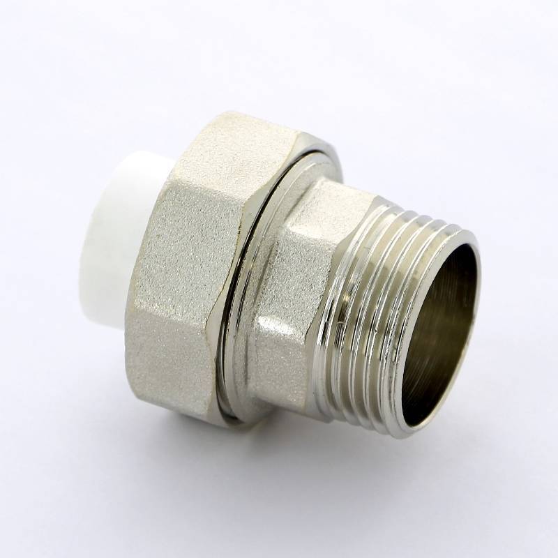 Муфта комбинированная разборная Pro Aqua 20 мм x 1 Н PA21011