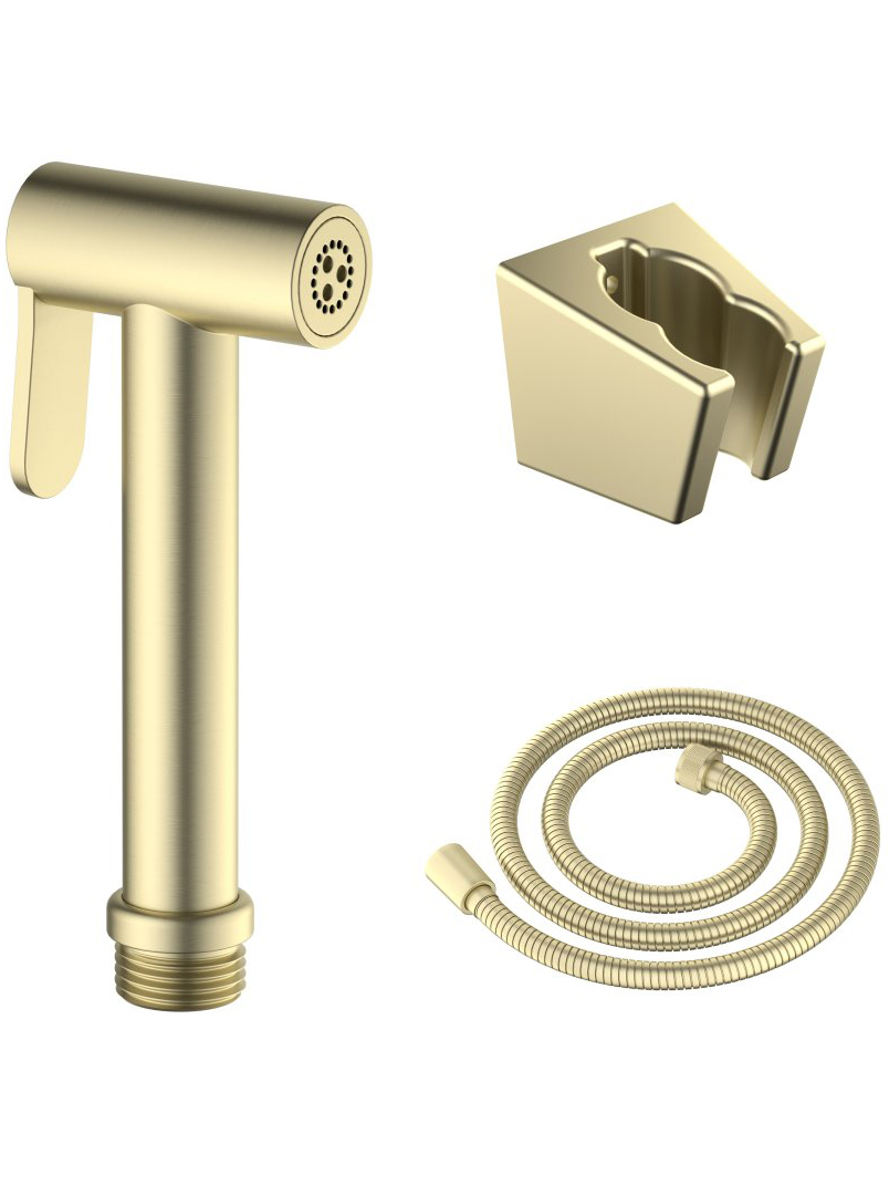 Гигиенический душ со шлангом 120 см и держателем Aquanet шлифованное золото AQ2054BG