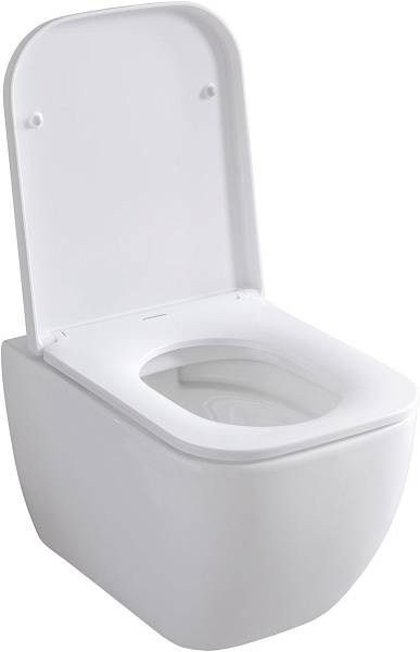 Унитаз подвесной Allen Brau Infinity безободковый 36x51x35 см белый 4.21004.20