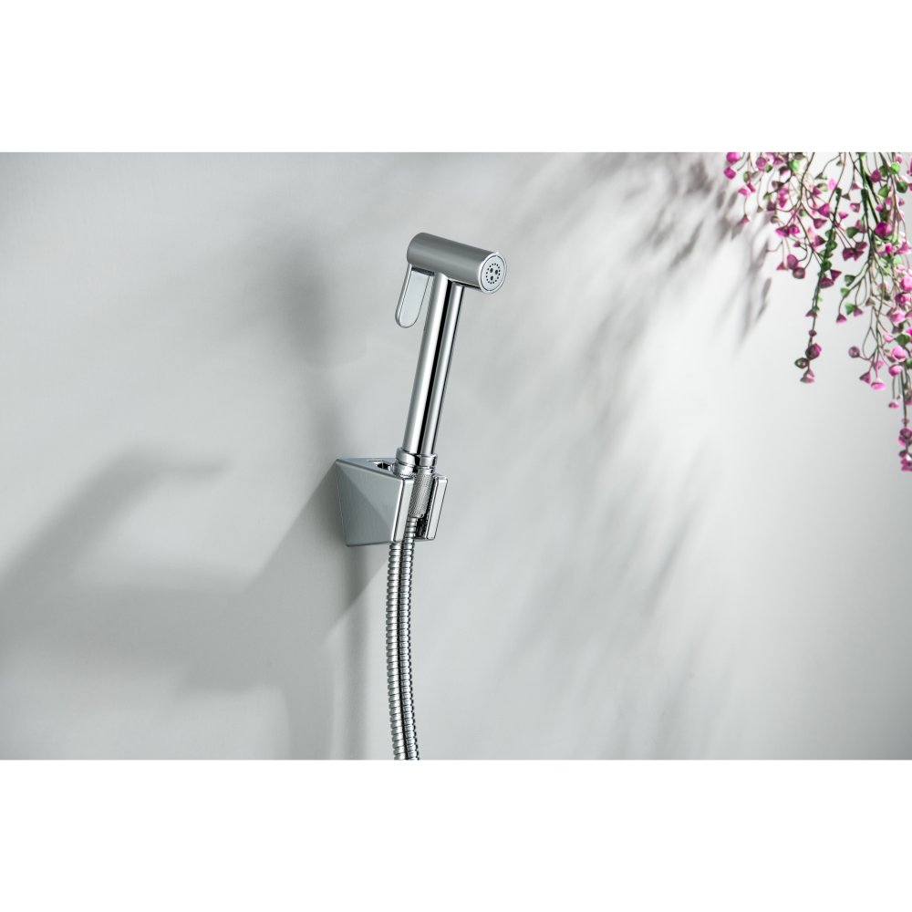 Гигиенический душ со шлангом 120 см и держателем Aquanet хром AQ2054CR