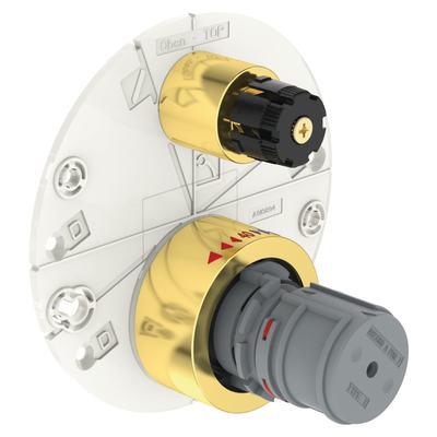 Скрытая часть смесителя Ideal Standard Ceratherm T100 муляж A5816A2