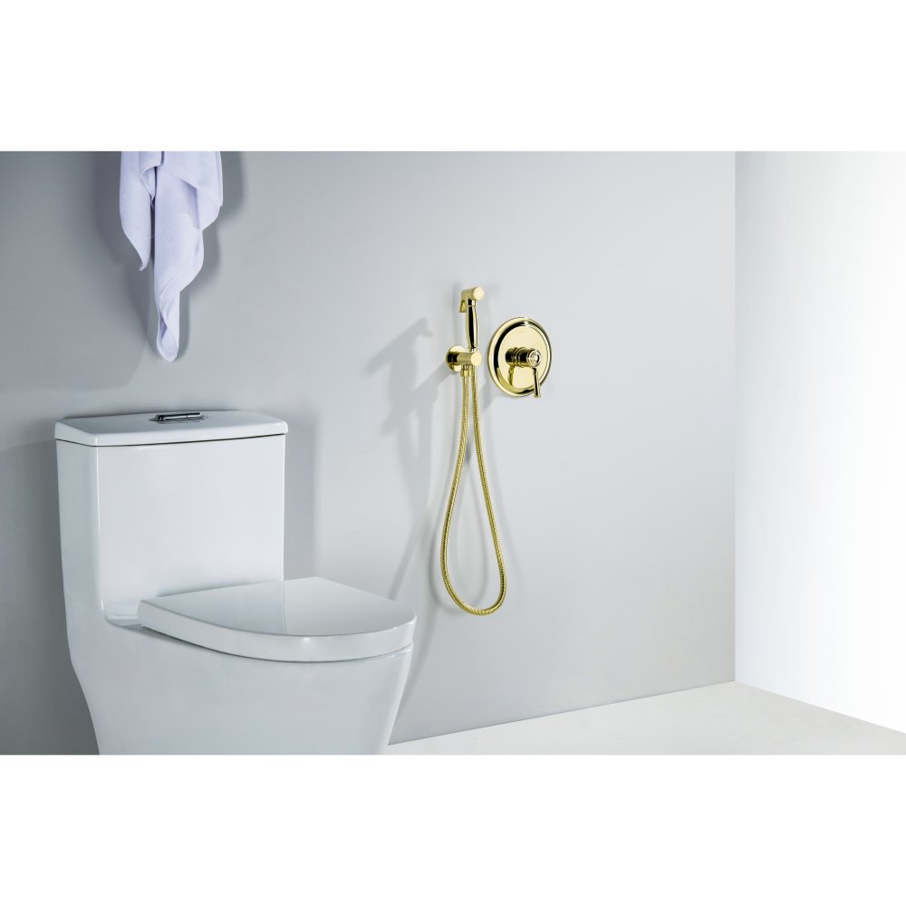 Набор с гигиеническим душем Aquanet Классик со смесителем полированное золото AQ1519PG