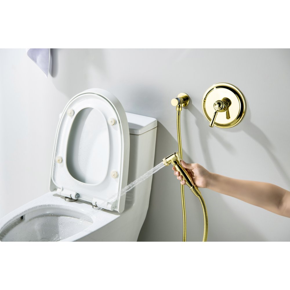 Набор с гигиеническим душем Aquanet Классик со смесителем полированное золото AQ1519PG