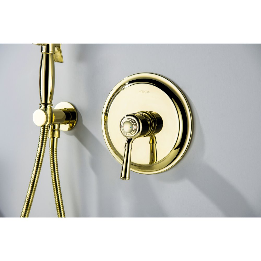 Набор с гигиеническим душем Aquanet Классик со смесителем полированное золото AQ1519PG