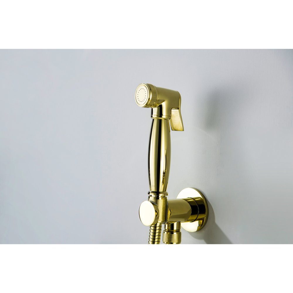 Набор с гигиеническим душем Aquanet Классик со смесителем полированное золото AQ1519PG