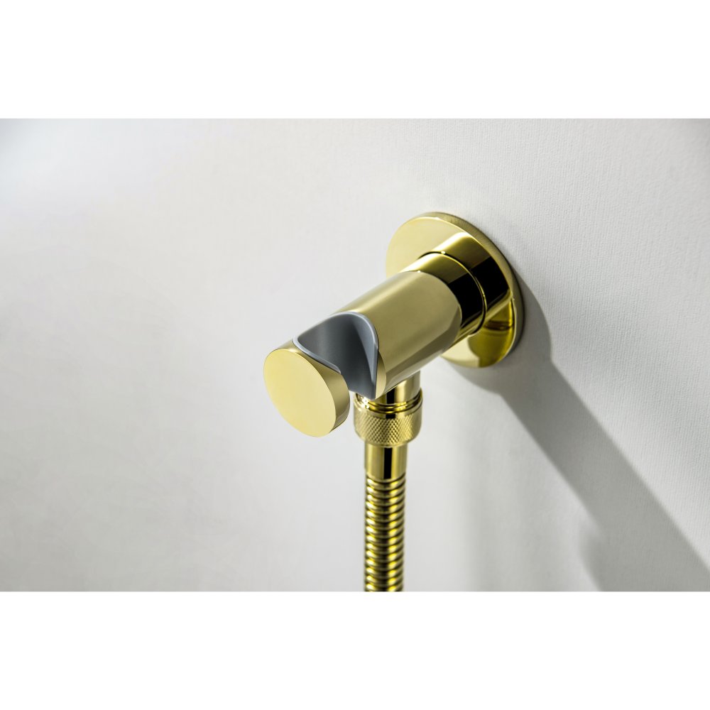 Набор с гигиеническим душем Aquanet Классик со смесителем полированное золото AQ1519PG