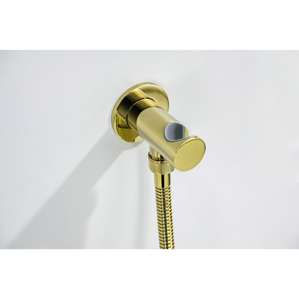 Набор с гигиеническим душем Aquanet Классик со смесителем полированное золото AQ1519PG