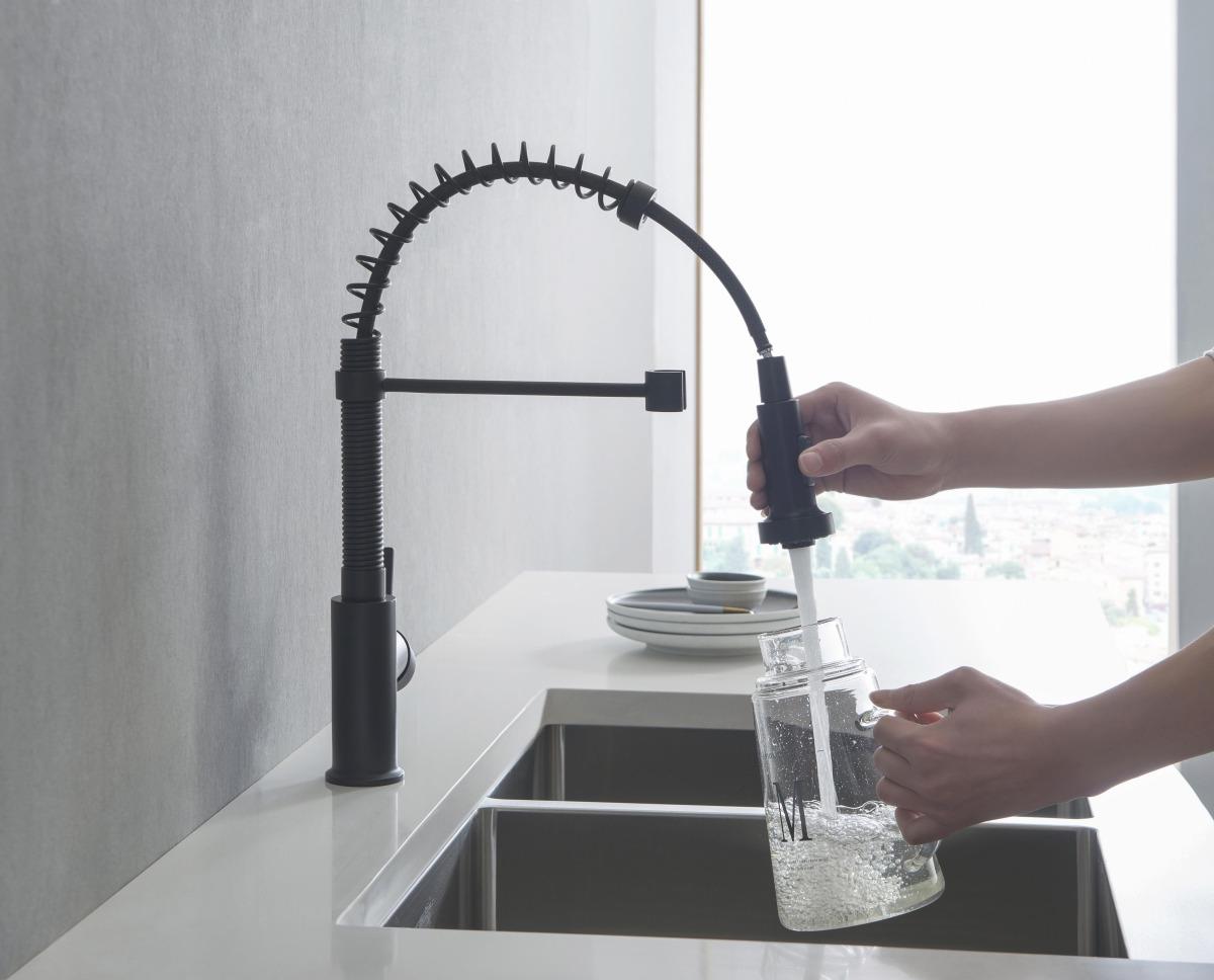 Смеситель для кухни Aquanet Европа профессиональный 2 jet матовый черный AQ1387MB