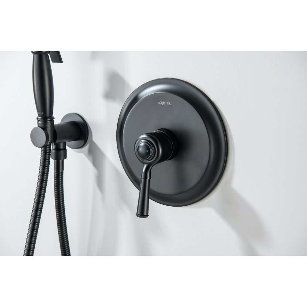 Набор с гигиеническим душем Aquanet Классик со смесителем матовый черный AQ1519MB