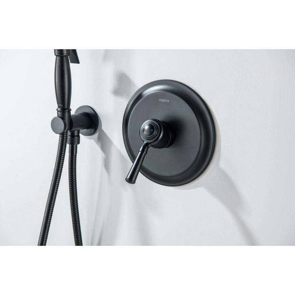 Набор с гигиеническим душем Aquanet Классик со смесителем матовый черный AQ1519MB