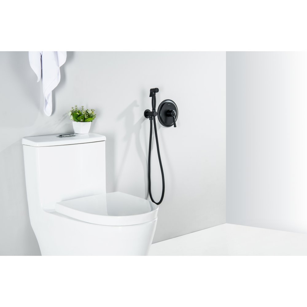 Набор с гигиеническим душем Aquanet Классик со смесителем матовый черный AQ1519MB