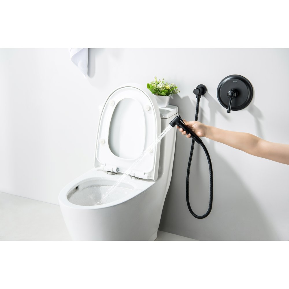 Набор с гигиеническим душем Aquanet Классик со смесителем матовый черный AQ1519MB