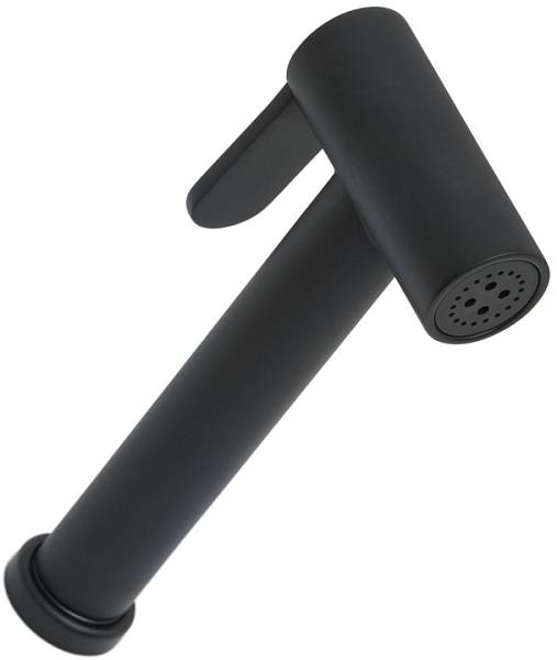 Гигиеническая лейка Allen Brau Priority черный матовый 5.31028-31