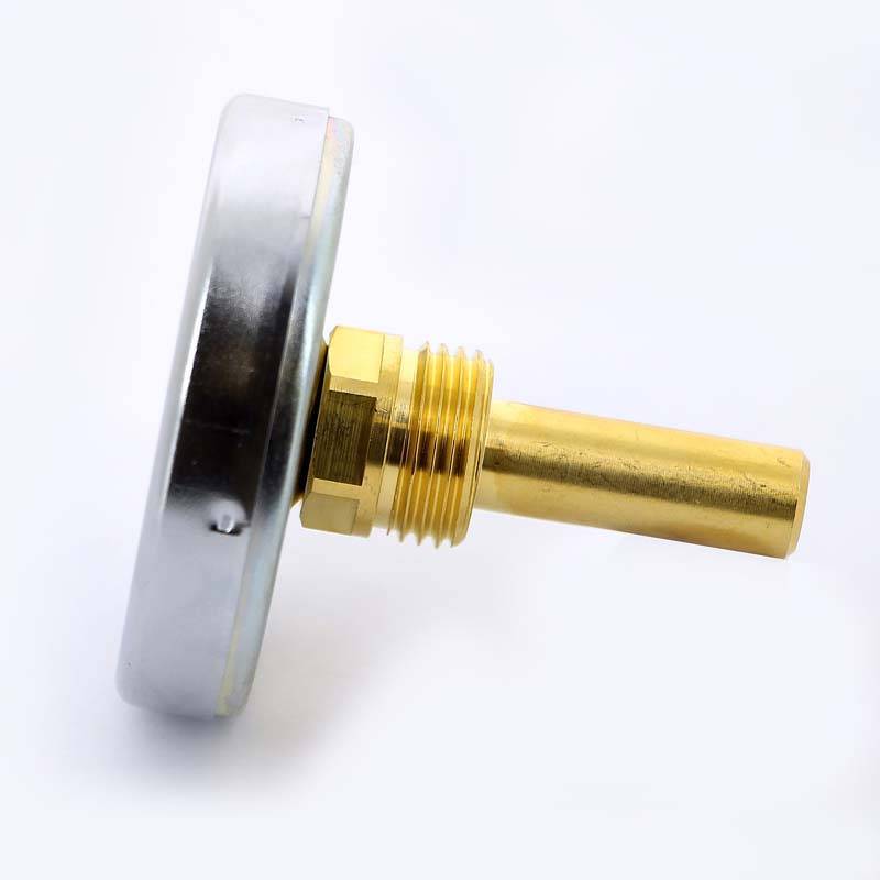 Термометр биметаллический Watts F+R801 63 мм 0-160 °C погружной гильза 50 мм 10005806