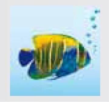 Декоративная вставка Zehnder Totally Tropical ZDECITT