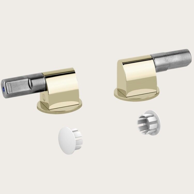 Петли Gessi для сиденья унитаза плавного закрывания Brass PVD 37584710