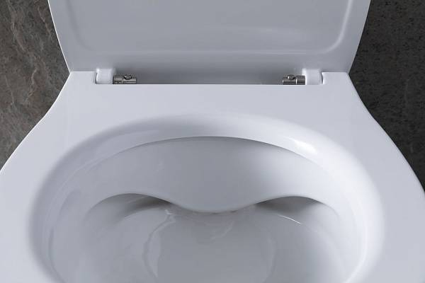 Чаша приставного унитаза Allen Brau Fantasy белый 4.11007.20